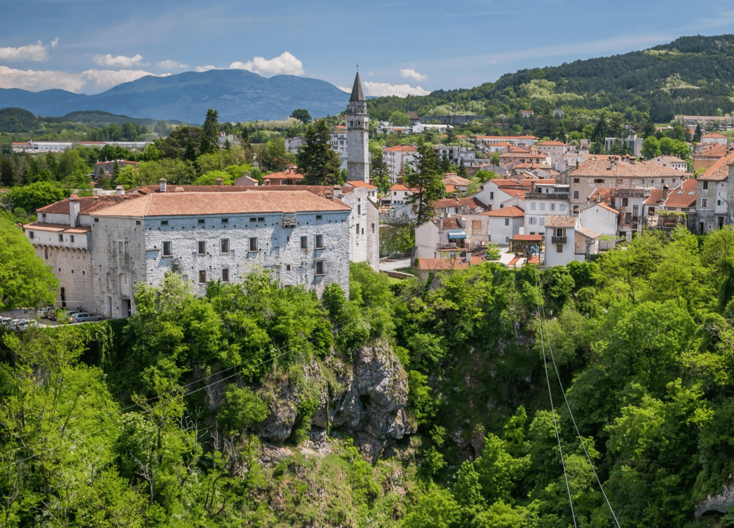 pazin.png